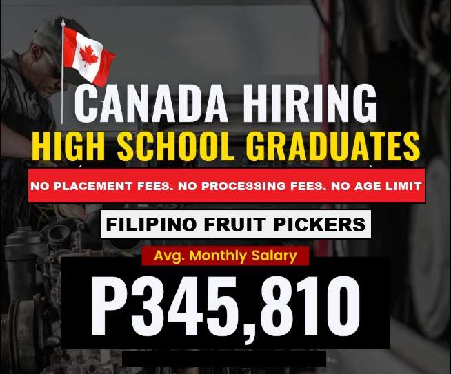 Fruit Picking Jobs in Canada with Visa Sponsorship