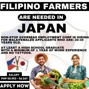 Hiring Filipino Farmer In Japan