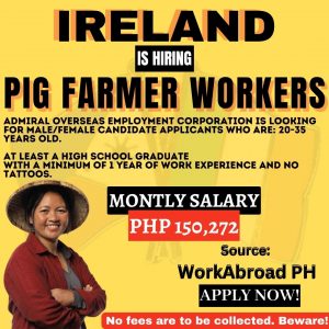 Hiring Pig Farmer Worker in Ireland