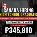 Fruit Picking Jobs in Canada with Visa Sponsorship