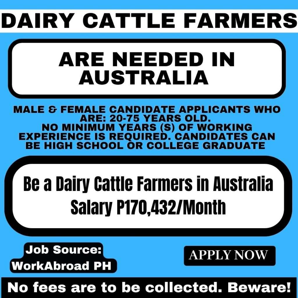 Hiring Dairy Cattle Farmers in Australia