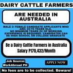 Hiring Dairy Cattle Farmers in Australia