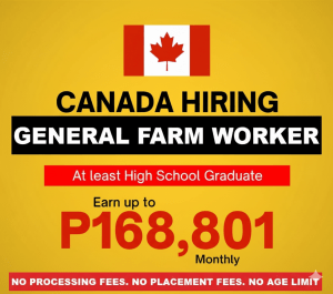 General Farm Worker Jobs in Canada with