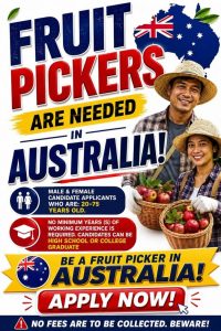 Fruit Picking Jobs in Australia For Filipinos With Visa Sponsorship 2026