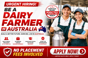 Urgent Hiring Dairy Farmer in Australia