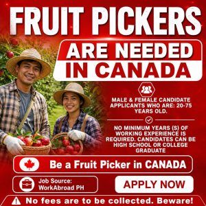 Fruit Picking Jobs in Canada with Visa Sponsorship