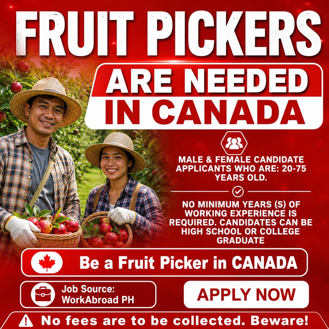 Fruit Picking Jobs in Canada with Visa Sponsorship