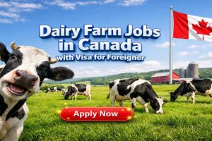 Dairy Farm Jobs in Canada with Visa Sponsorship for Filipinos